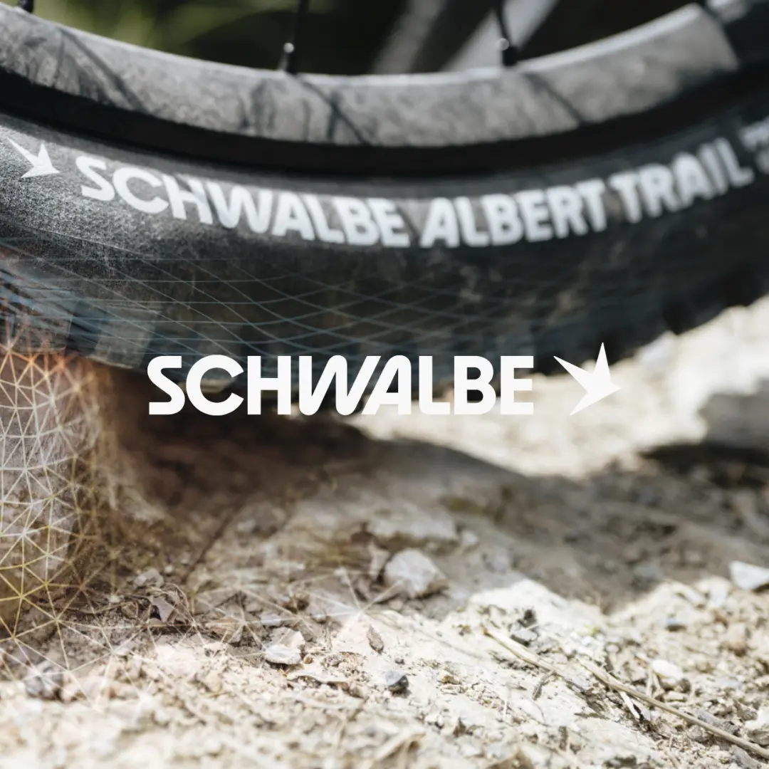 Logo Schwalbe