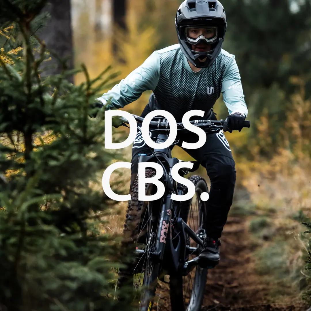Logo Dos Caballos