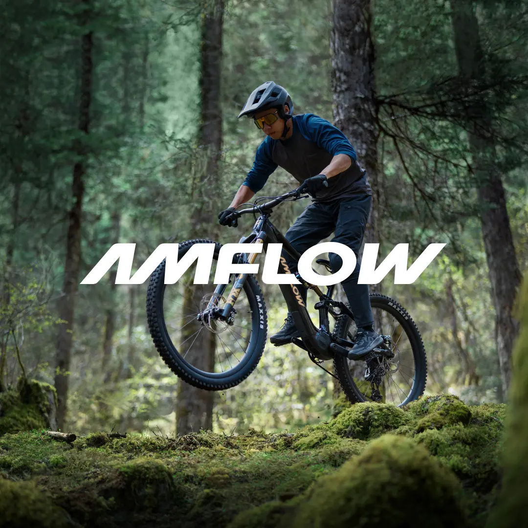 Logo Amflow