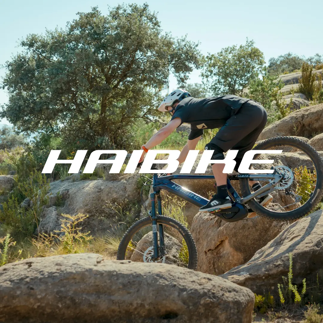 Logo Haibike