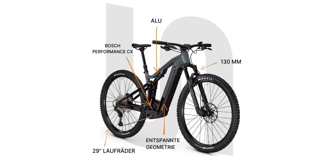 Focus Thron² technische Daten