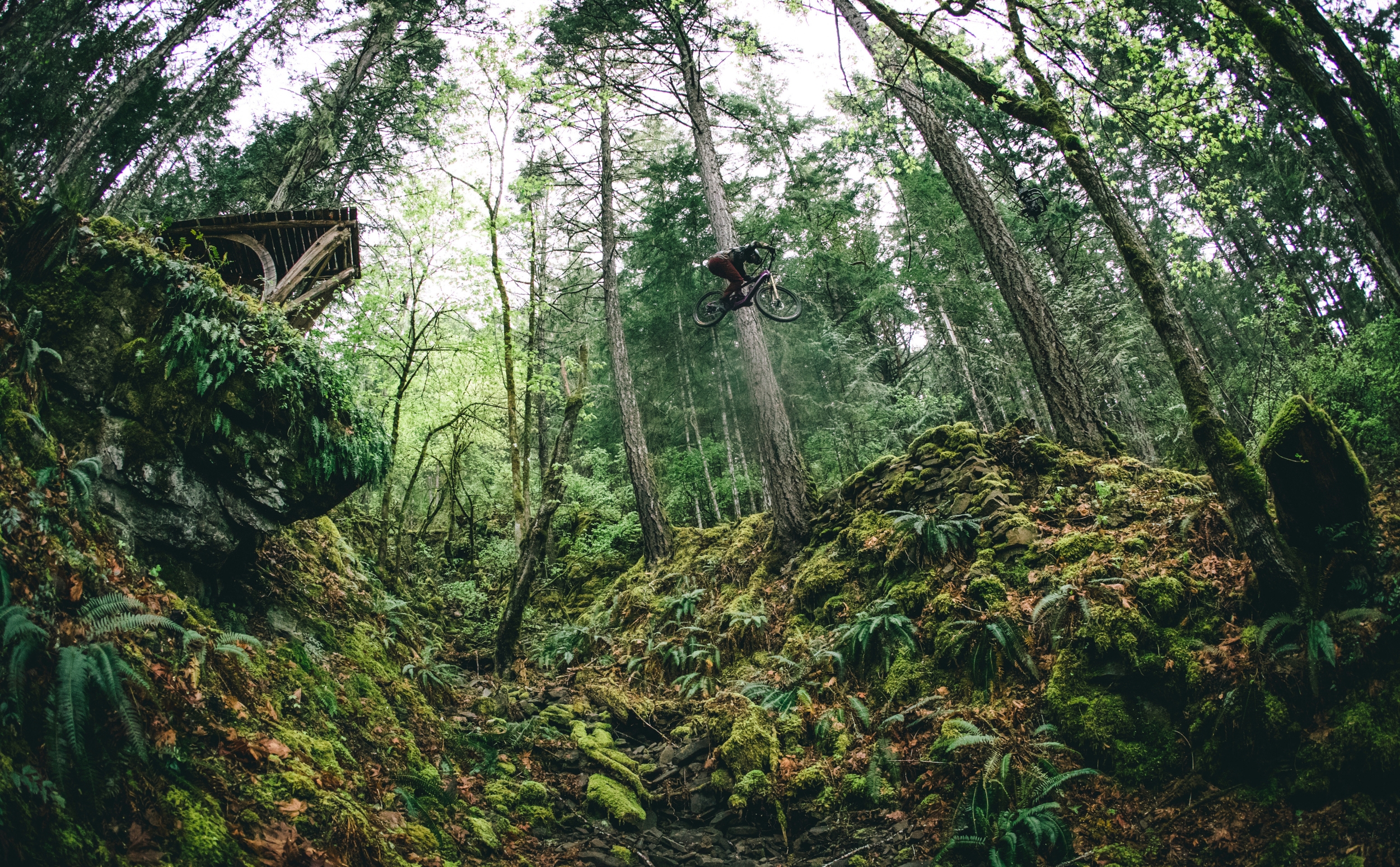 Santa Cruz Heckler SL Stout Carbon C Mixed Fazua Ride60 Santa Cruz Heckler SL Stout Carbon C Mixed Fazua Ride60 2024 Actionshot