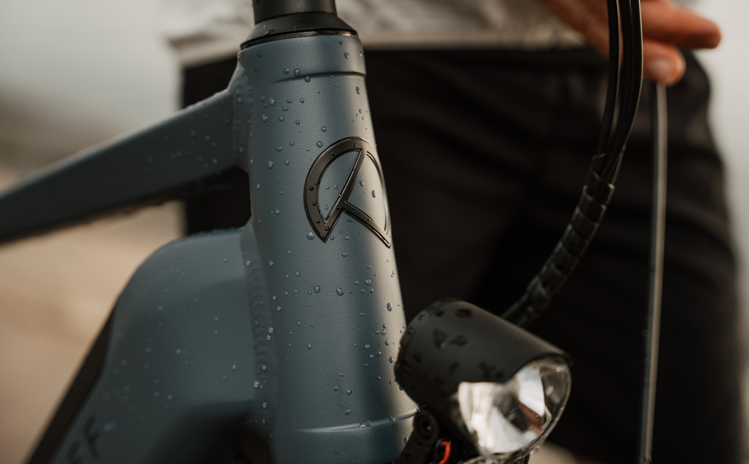 Kalkhoff Entice 5 Move + LTD Bosch Performance CX 625Wh Wave Kalkhoff Entice 5 Move + LTD Bosch Performance CX 625Wh Wave 2024 Details