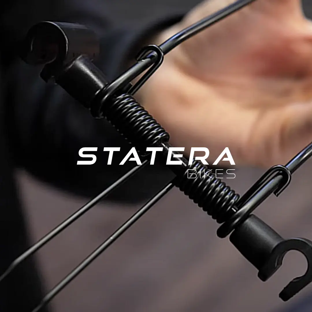 Logo Statera