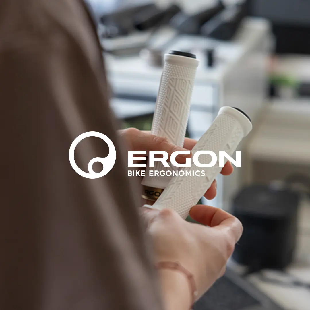 Logo Ergon