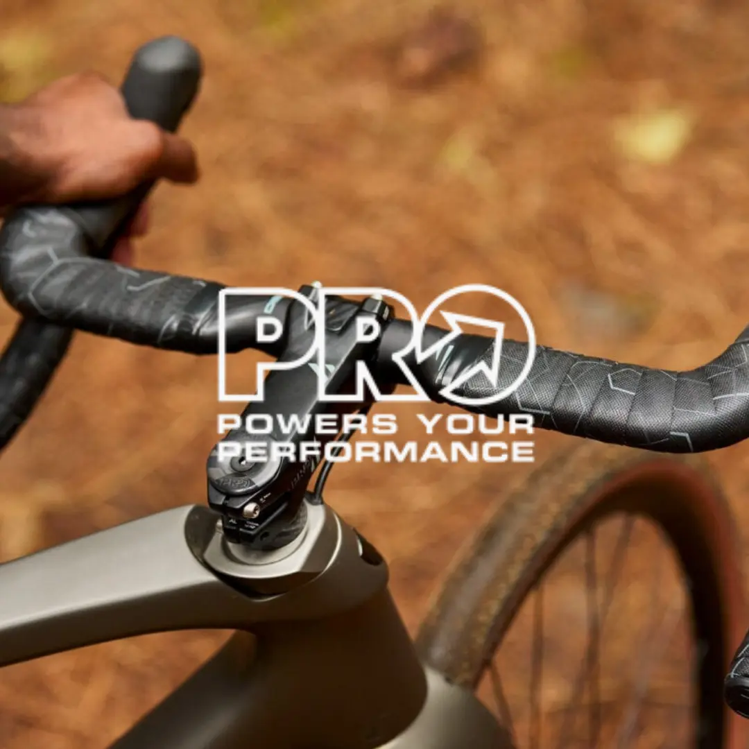 Logo PRO